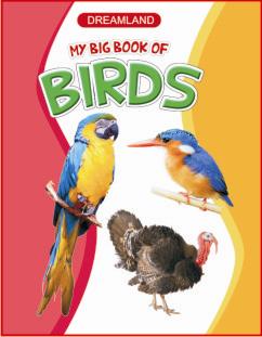 My big book of birds